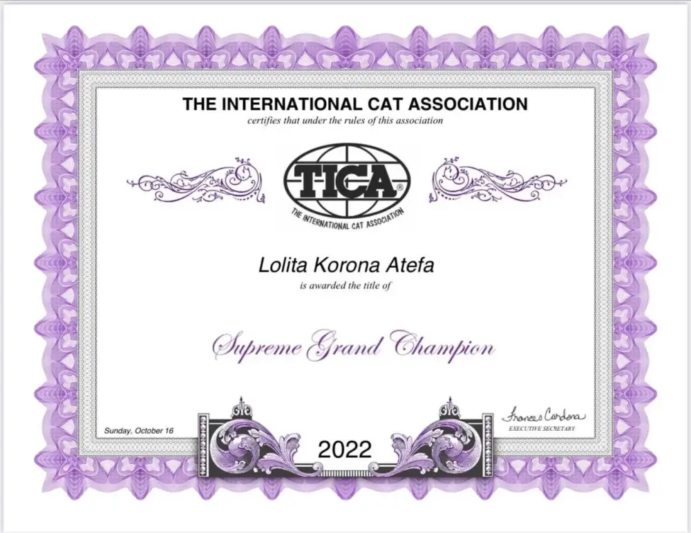 Lolita-Donskoy-certif