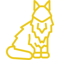 Maine Coon-item