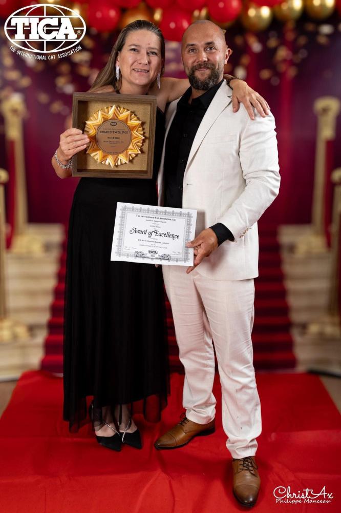Tica celine et ludo awards 2024