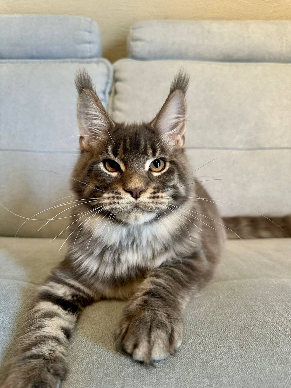 0c2f9dc9-d1b1-4a42-a821-40906c16ed9b